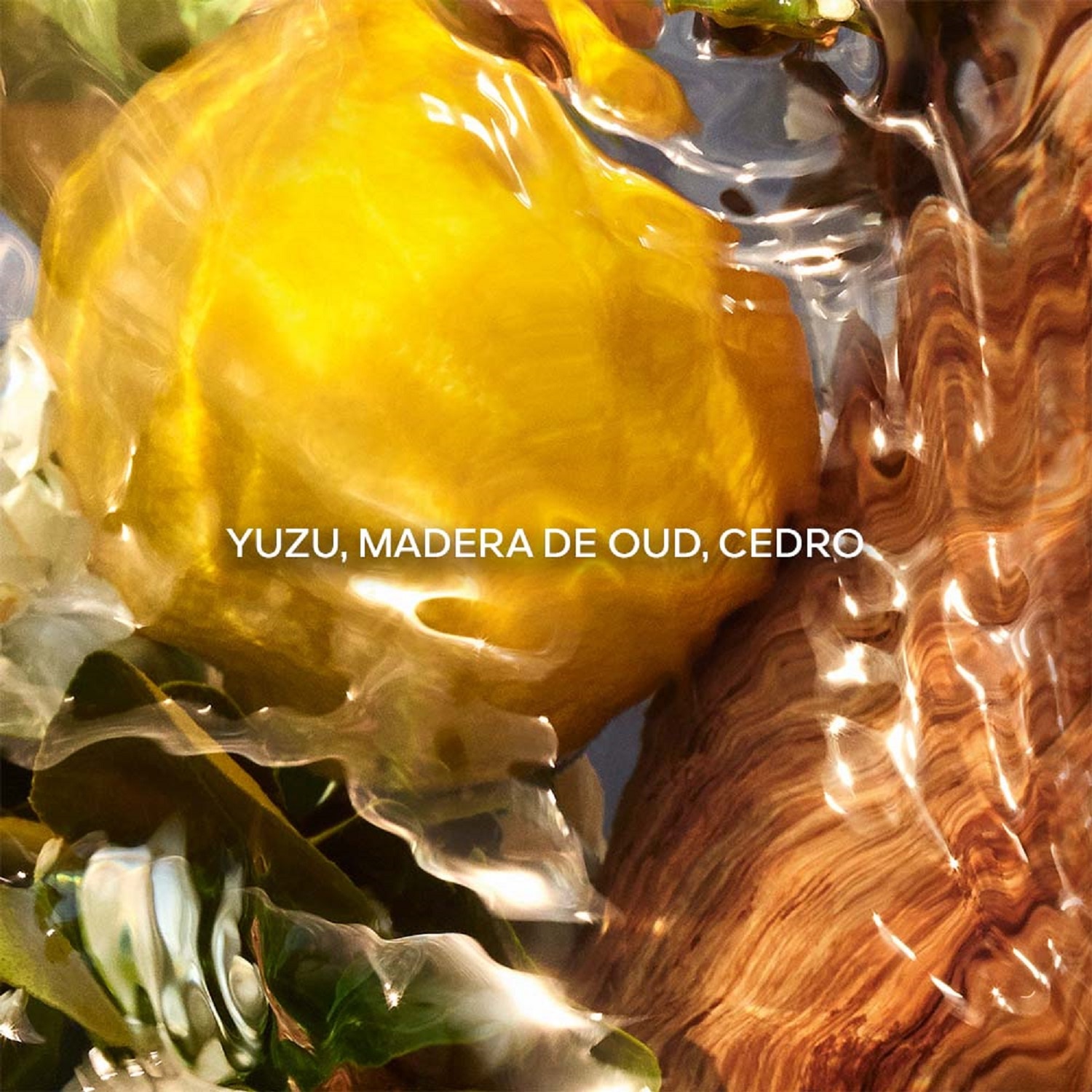 AQUA ALLEGORIA FORTE OUD YUZU EAU DE PARFUM